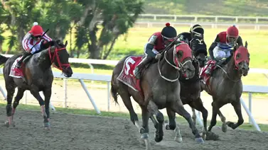 El "dato corrido" que todos buscan: Descubre cuál es el ejemplar más sonado para la segunda válida El "dato corrido" que todos buscan: Descubre cuál es el ejemplar más sonado para la segunda válida