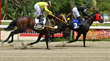 La Rinconada: Este ejemplar que es uno de los favoritos para el ciclo no válido logró uno de los mejores ajustes La Rinconada: Este ejemplar que es uno de los favoritos para el ciclo no válido logró uno de los mejores ajustes