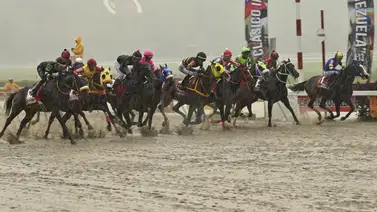 Hipódromo La Rinconada: Datos de Última Hora para el 26-10-2025 Hipódromo La Rinconada: Datos de Última Hora para el 26-10-2025