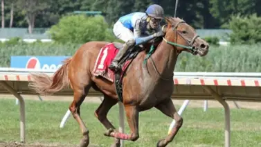 Christopher Elliott Bracho es el jinete venezolano con mejores montas para este fin de semana  Christopher Elliott Bracho es el jinete venezolano con mejores montas para este fin de semana