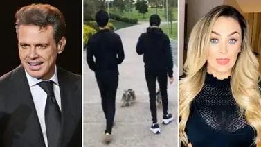Hijo de Luis Miguel y Aracely Arámbula presentó complicaciones de salud  Hijo de Luis Miguel y Aracely Arámbula presentó complicaciones de salud