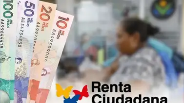 Renta Ciudadana 2025 Renta Ciudadana 2025