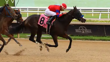 Victoria emotiva: Jinete criollo vuelve a ganar en Gulfstream Park tras larga sequía Victoria emotiva: Jinete criollo vuelve a ganar en Gulfstream Park tras larga sequía