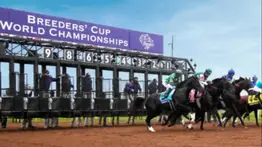 Quince ejemplares ejecutan su trabajo para las Breeders’ Cup 2025