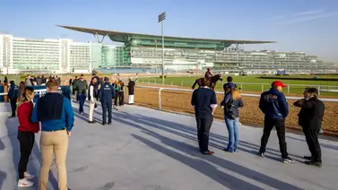 Cuatro clasificadoras para la Dubai World Cup se llevarán a cabo en Del Mar Cuatro clasificadoras para la Dubai World Cup se llevarán a cabo en Del Mar