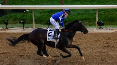 Junior Alvarado buscará ser el cuarto jinete venezolano en ganar una prueba en la Breeders’ Cup  Junior Alvarado buscará ser el cuarto jinete venezolano en ganar una prueba en la Breeders’ Cup