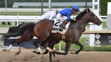 ¡Entérate de los detalles! El ejemplar Sovereignty enfrenta problemas de salud a pocos días de la Breeders’ Cup Classic ¡Entérate de los detalles! El ejemplar Sovereignty enfrenta problemas de salud a pocos días de la Breeders’ Cup Classic