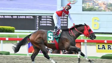 Reaparición estelar: Tuco Salamanca se encuentra listo para volver a la acción en La Rinconada Reaparición estelar: Tuco Salamanca se encuentra listo para volver a la acción en La Rinconada