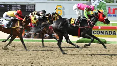 Cuidado que el dato atrasado regresa al óvalo de La Rinconada luego de 147 días sin correr Cuidado que el dato atrasado regresa al óvalo de La Rinconada luego de 147 días sin correr