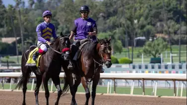 Breeders’ Cup: Se presenta el primer retirado para el Campeonato de Criadores Breeders’ Cup: Se presenta el primer retirado para el Campeonato de Criadores
