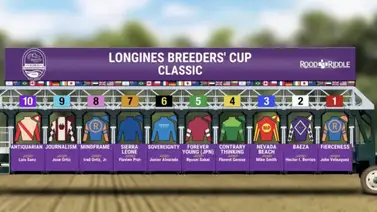 ¡Anota! Estos son los datos que necesitas para conocer al ganador de la Breeders’ Cup Classic G1 con una bolsa de $7.000.000 ¡Anota! Estos son los datos que necesitas para conocer al ganador de la Breeders’ Cup Classic G1 con una bolsa de $7.000.000