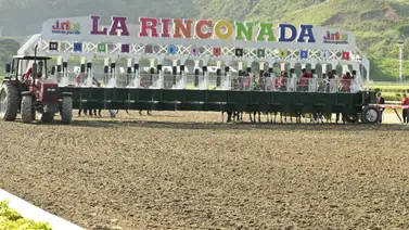 Atención aficionado hípico: Retirado ejemplar que era uno de los favoritos para el ciclo no válido de la R42 Atención aficionado hípico: Retirado ejemplar que era uno de los favoritos para el ciclo no válido de la R42