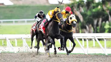 El duelo del siglo: Mira la confesión de Sonny León y Juan Pablo Paoloni sobre el final del Clásico Internacional Simón Bolívar El duelo del siglo: Mira la confesión de Sonny León y Juan Pablo Paoloni sobre el final del Clásico Internacional Simón Bolívar