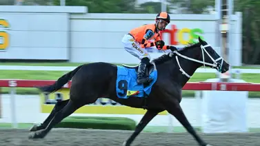 La fórmula ganadora: Así ajustó la gran opción de Gaceta Hípica que buscará repetir con victoria el 5y6 dominical La fórmula ganadora: Así ajustó la gran opción de Gaceta Hípica que buscará repetir con victoria el 5y6 dominical