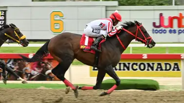 Así como ajustó Colossus buscará triunfar en la condicional especial de la R42 Así como ajustó Colossus buscará triunfar en la condicional especial de la R42