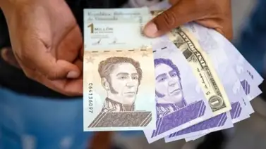 pago de aguinaldos del sector universitario  pago de aguinaldos del sector universitario