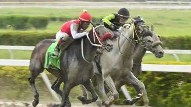 Lo que todos esperan: Una hija de Constructor White se perfila como el "robo de toda Venezuela" para el 5y6 Lo que todos esperan: Una hija de Constructor White se perfila como el "robo de toda Venezuela" para el 5y6