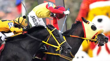 El héroe anónimo: Conoce al caballerizo que hizo triunfar a Astuto en el Clásico Internacional Simón Bolívar (GI) El héroe anónimo: Conoce al caballerizo que hizo triunfar a Astuto en el Clásico Internacional Simón Bolívar (GI)