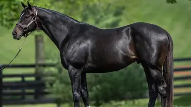 3 millones de dólares por una participación de Not This Time 3 millones de dólares por una participación de Not This Time