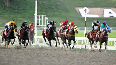 La Rinconada: A esta hora te revelamos los ejemplares con más fuerzas y la jugada larga para la R42 La Rinconada: A esta hora te revelamos los ejemplares con más fuerzas y la jugada larga para la R42