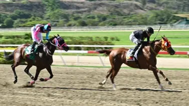 Ojo con esta: Una yegua logró uno de los mejores ajustes del miércoles y es una posible sorpresa para el 5y6 dominical Ojo con esta: Una yegua logró uno de los mejores ajustes del miércoles y es una posible sorpresa para el 5y6 dominical