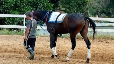 Ahora quién ganará: Retiro de fijo cambia el panorama del ciclo no válido en La Rinconada Ahora quién ganará: Retiro de fijo cambia el panorama del ciclo no válido en La Rinconada