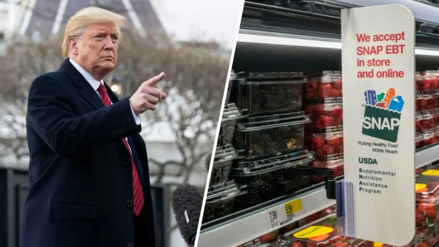 Eliminacion de SNAP EEUU