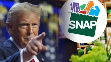 Eliminacion de SNAP EEUU Eliminacion de SNAP EEUU