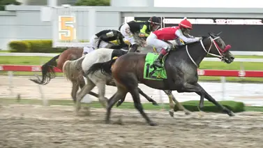 El peligro real no es Fantastic Shot ni Impetuosa descubre aquí el batacazo del 5y6 El peligro real no es Fantastic Shot ni Impetuosa descubre aquí el batacazo del 5y6