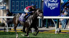 Cy Fair vuela en la Breeders' Cup Juvenile Turf Spring G1