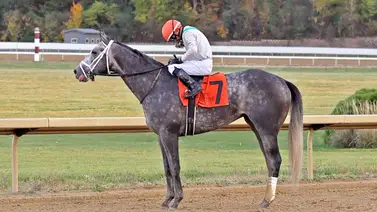 El jinete conocido como "Chilly Willie" ganador de la Breeders’ Cup anunció su retiro El jinete conocido como "Chilly Willie" ganador de la Breeders’ Cup anunció su retiro
