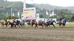 Favoritos de la cátedra para el 5y6 Nacional de la reunión N°39 en el hipódromo La Rinconada