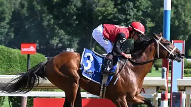 Atleta Meridiano monta potro que costó $1.9 millones en la Breeders’ Futurity (GI) Atleta Meridiano monta potro que costó $1.9 millones en la Breeders’ Futurity (GI)