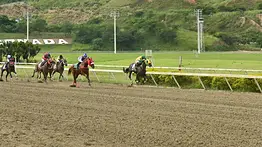Sangre norteamericana para la edición 83 del Jockey Club: El ejemplar que impresionó a los cronometristas en La Rinconada