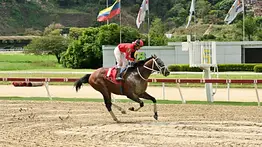 Fallece purasangre ganador del Clásico Internacional Jockey Club de Venezuela (GI)