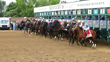 Estos son los potros que ganaron sus primeros puntos camino al Kentucky Derby (GI) Estos son los potros que ganaron sus primeros puntos camino al Kentucky Derby (GI)