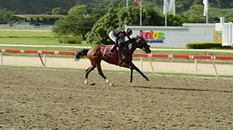 Jinete que tiene más de un año sin ganar en La Rinconada puede conseguir su primera victoria en 2026