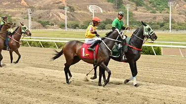 ¿Quieres acertar en el Loto Hípico? Toma nota de la fórmula de Meridiano Web en Coche ¿Quieres acertar en el Loto Hípico? Toma nota de la fórmula de Meridiano Web en Coche