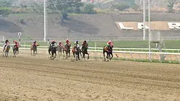 El hijo del caballo que destronó a American Pharoah debutará este domingo en La Rinconada