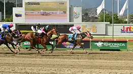 A mantener la racha: Hija de Champlain podría darle otra victoria a entrenador que no falla con debutantes