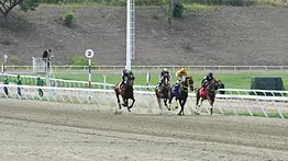 Estos son los retirados de la Reunión N°41 en el Hipódromo La Rinconada para domingo 18-10-2026