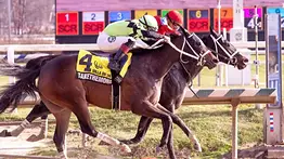 Jockey venezolano comparte la cima del meeting en Laurel Park 