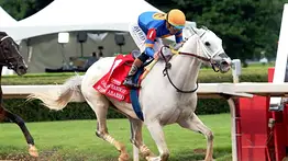 Conoce el precio de White Abarrio como semental para el 2027 en Gainesway Farm