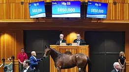 Hija de Gun Runner y nieta de Justify que costó $875.000 busca romper el Maiden en Keeneland
