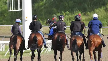Estos son los retirados de la reunión N°42 en el Hipódromo La Rinconada para domingo 25-10-2026 Estos son los retirados de la reunión N°42 en el Hipódromo La Rinconada para domingo 25-10-2026
