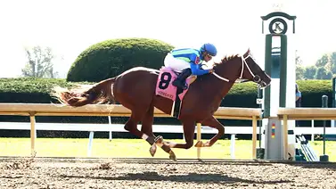Steven Asmussen agranda su leyenda en el Keeneland Fall Meet 2026 Steven Asmussen agranda su leyenda en el Keeneland Fall Meet 2026