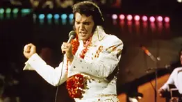 Herederos de Elvis Presley demandan a empresa de inteligencia artificial