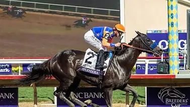Breeders’ Cup: Retirada una de las grandes favoritas de la Breeders’ Cup Distaff GI Breeders’ Cup: Retirada una de las grandes favoritas de la Breeders’ Cup Distaff GI