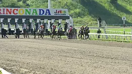 Favoritos de la cátedra para el 5y6 Nacional de la reunión N°43 en el hipódromo La Rinconada