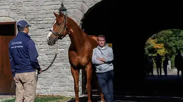 Aidan O’Brien logra el doblete con Haffner en la Breeders’ Cup Juvenile turf (G1) Aidan O’Brien logra el doblete con Haffner en la Breeders’ Cup Juvenile turf (G1)